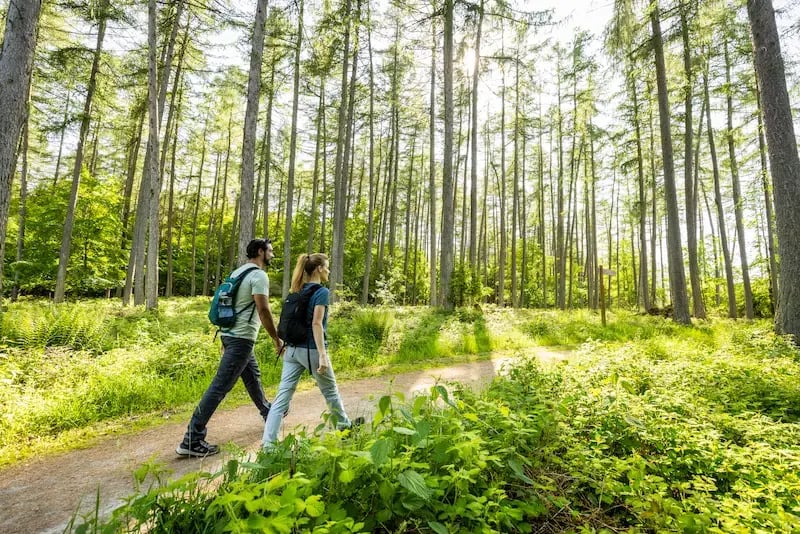 Visitantes do ambiente natural