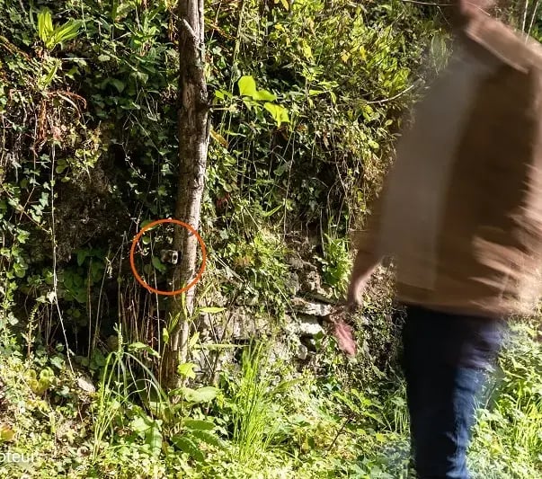 Ao detetar as variações de calor, o PYRO Nano conta os seus visitantes.
